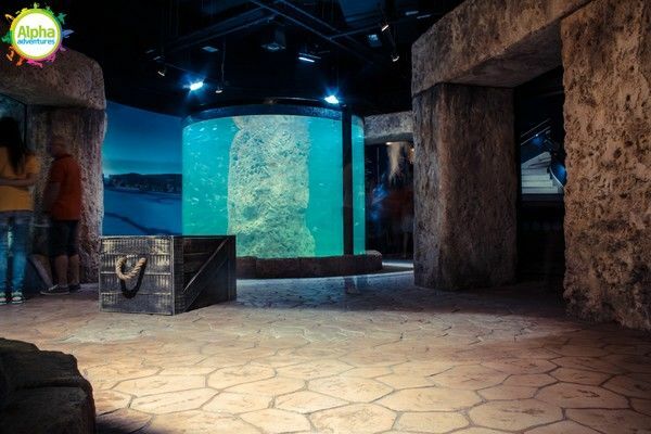 Malta National Aquarium tank
