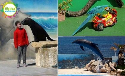 Dolphin, Sea Lion, Parrot 1