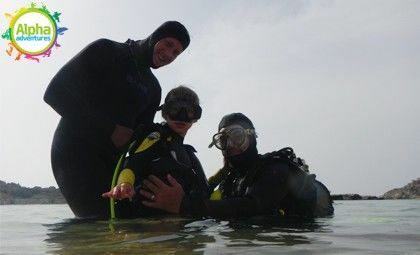 Try Dives for Families