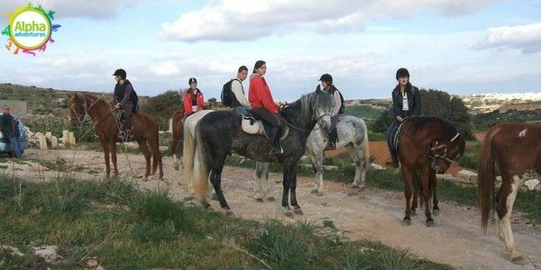 Horse Riding in Malta