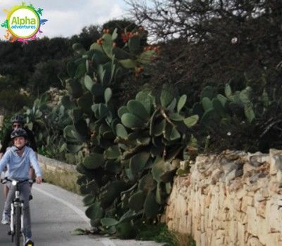 Gozo Bike Adventure