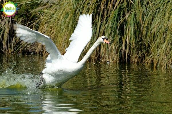 Bird park and Aquarium Tour
