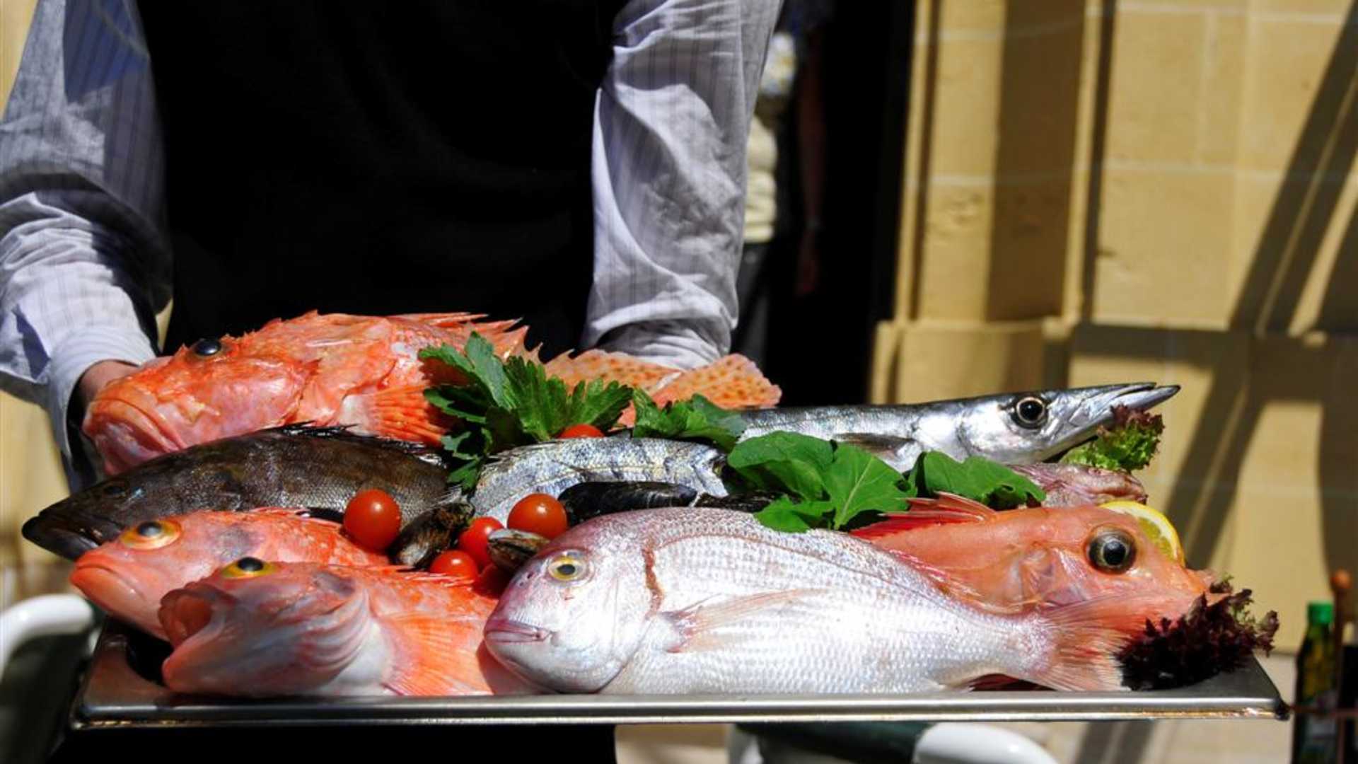 Fish