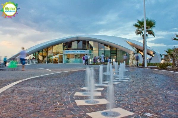 Bird park and Aquarium Tour