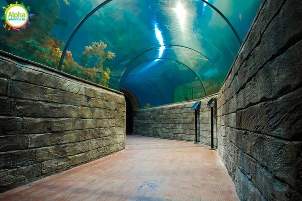 Bird park and Aquarium Tour