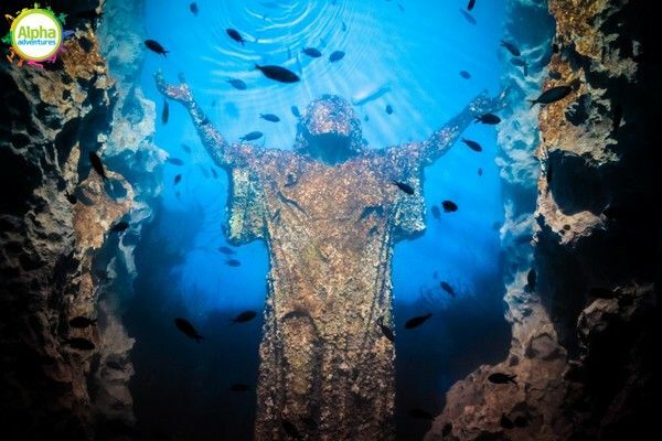 Bird park and Aquarium Tour