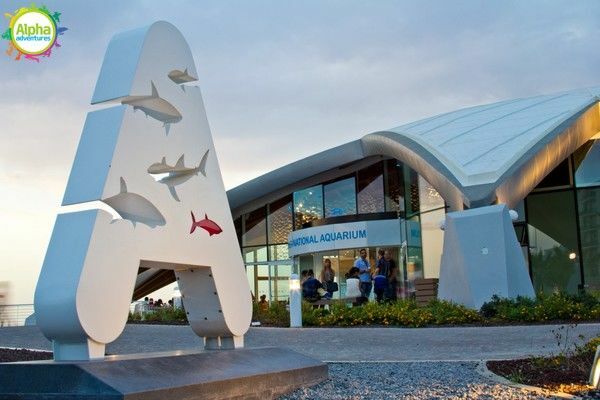 Bird park and Aquarium Tour