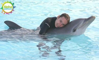 swimming with dolphins 8