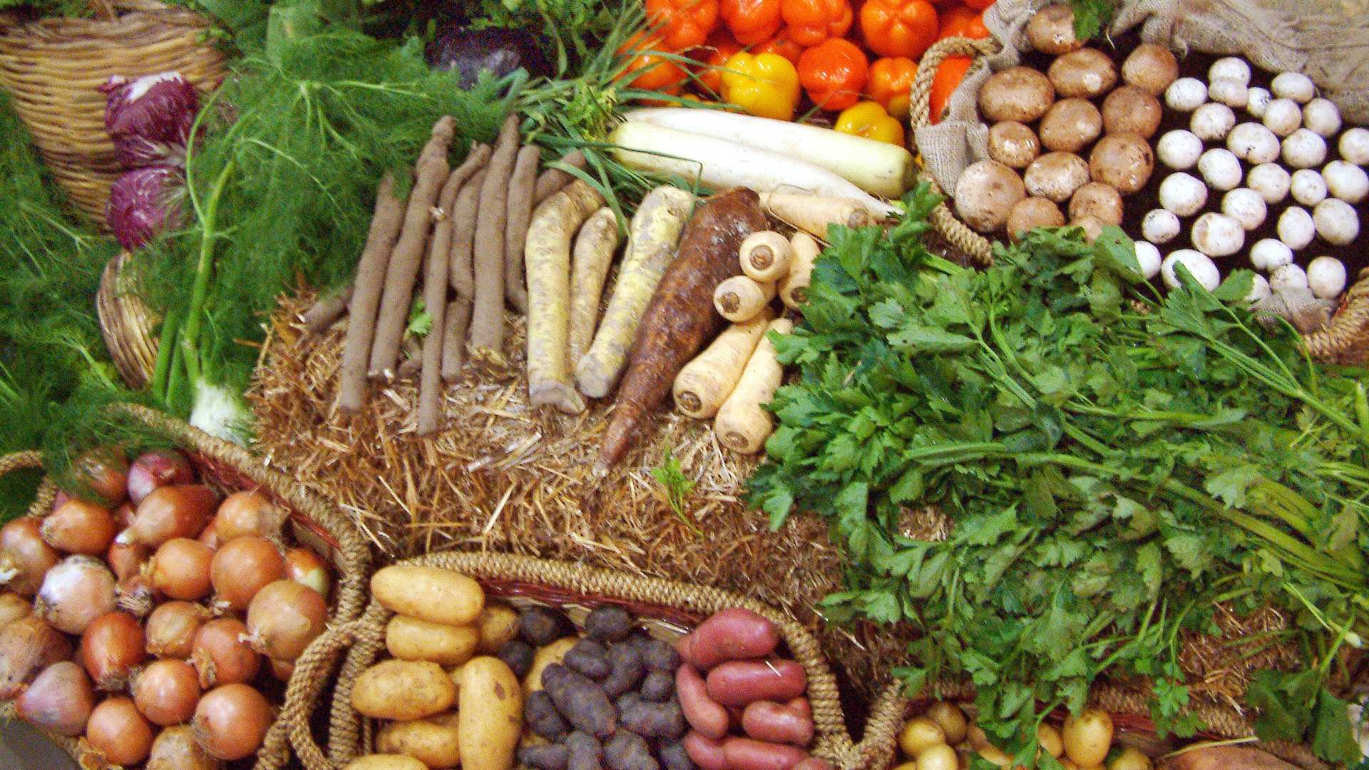 Summer Folk Festival