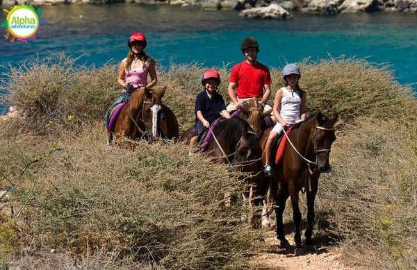 Horse riding countryside