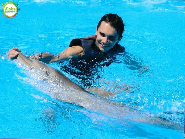 swimming with dolphins 4