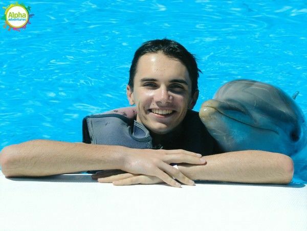 swimming with dolphins 7