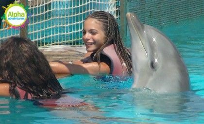 swimming with dolphins 9