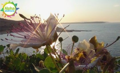 Fernandes Sunset Cruise
