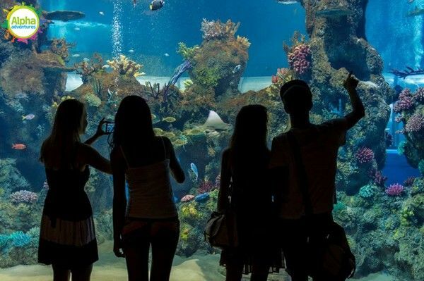 Bird park and Aquarium Tour