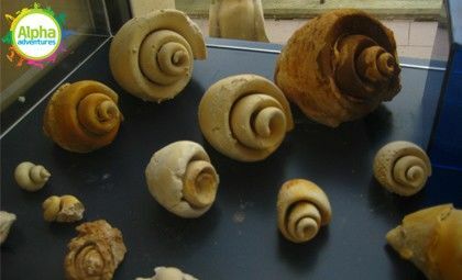 Limestone Heritage Malta