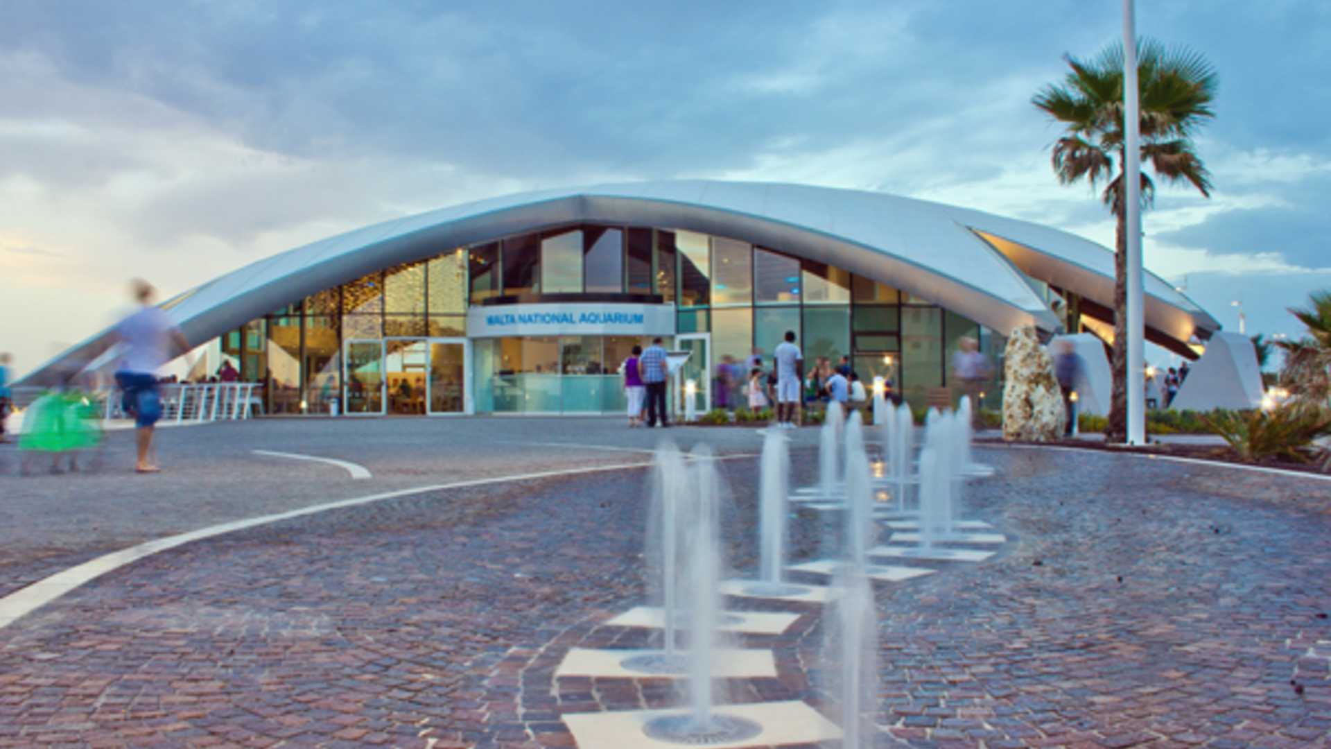 Check out the Malta National Aquarium