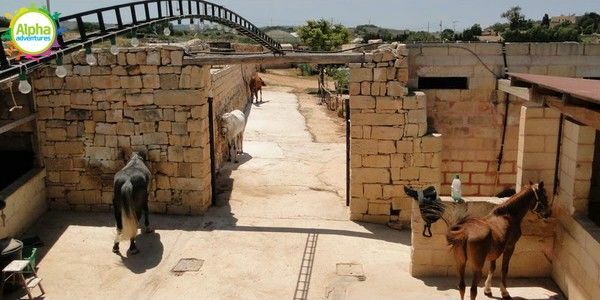 Horse Riding in Malta