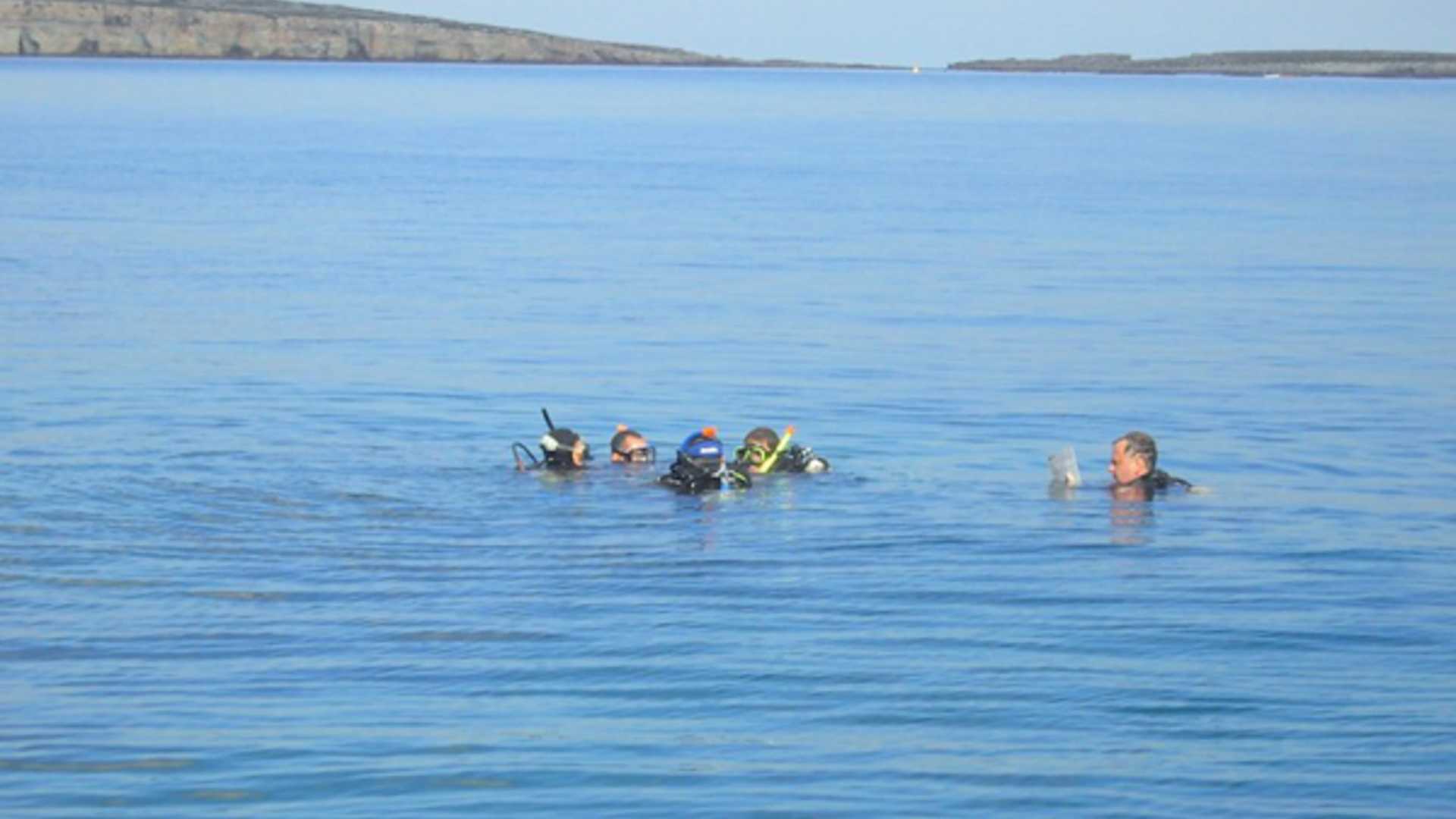 st pauls bay diving